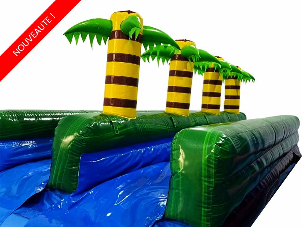 Ventriglisse tropical Ventriglisse tropical